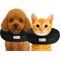 Show in main carousel: COMFURT COLLAR Stuffed Not Inflatable Dog & Cat Recovery Collar, Black, X-Small slide 1 of 9