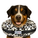 COMFURT COLLAR Stuffed Not Inflatable Dog & Cat Recovery Collar, Cheetah, XX-Large