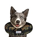 COMFURT COLLAR Stuffed Not Inflatable Dog & Cat Recovery Collar, Camo, Large