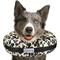 Show in main carousel: COMFURT COLLAR Stuffed Not Inflatable Dog & Cat Recovery Collar, Cheetah, Large slide 1 of 9