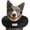 Show in main carousel: COMFURT COLLAR Stuffed Not Inflatable Dog & Cat Recovery Collar, Black, Large slide 1 of 9