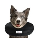 COMFURT COLLAR Stuffed Not Inflatable Dog & Cat Recovery Collar, Black, Large