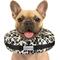 Show in main carousel: COMFURT COLLAR Stuffed Not Inflatable Dog & Cat Recovery Collar, Cheetah, Medium slide 1 of 9