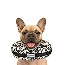 COMFURT COLLAR Stuffed Not Inflatable Dog & Cat Recovery Collar, Cheetah, Medium