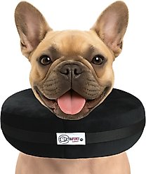 COMFURT COLLAR Stuffed Not Inflatable Dog & Cat Recovery Collar, Black, Medium