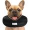 Show in main carousel: COMFURT COLLAR Stuffed Not Inflatable Dog & Cat Recovery Collar, Black, Medium slide 1 of 9