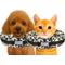 Show in main carousel: COMFURT COLLAR Stuffed Not Inflatable Dog & Cat Recovery Collar, Cheetah, X-Small slide 1 of 9