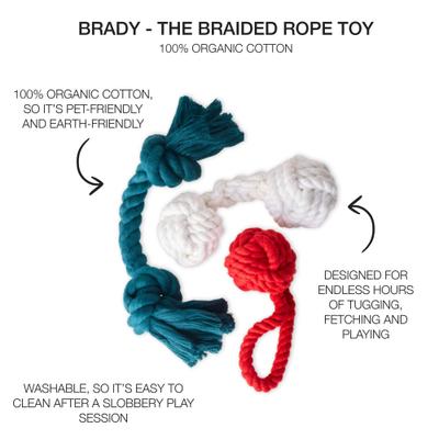 Show full view: Pet Passion Christmas Brady Braided Rope Dog Tug Toy, 3 count, Holiday slide 2 of 7