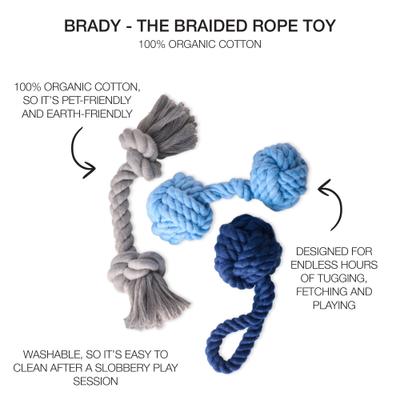 Show full view: Pet Passion Christmas Brady Braided Rope Dog Tug Toy, 3 count, Blue Ombre slide 2 of 7