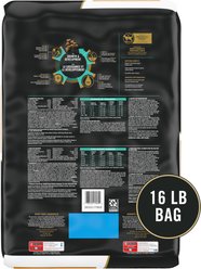 Purina Pro Plan Kitten Chicken & Rice Formula Dry Cat Food, 16-lb bag slide 2 of 9