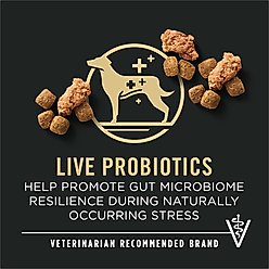 Purina Pro Plan 7+ Complete Essentials Shredded Blend Beef & Rice Formula High Protein Dog Food, 34-lb bag slide 2 of 9