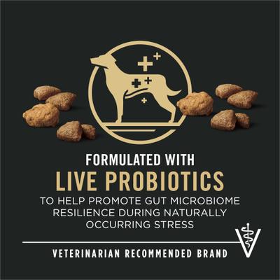 Purina Pro Plan Adult Shredded Blend Salmon & Rice Formula Dry Dog Food