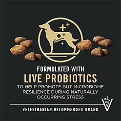 Purina Pro Plan Adult Shredded Blend Salmon & Rice Formula Dry Dog Food, 33-lb bag slide 2 of 9