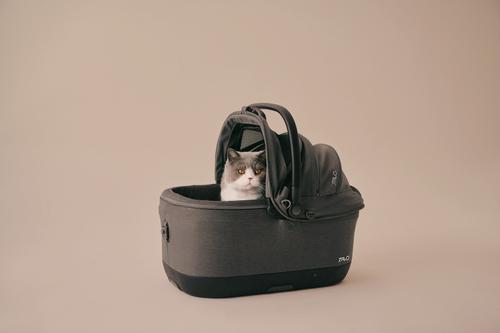 Show full view: Tavo Pets Maeve iso6X Wind Dog & Cat Car Seat, Fawn slide 9 of 10