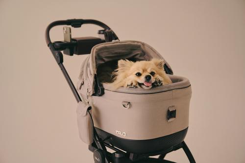 Show full view: Tavo Pets Maeve iso5X Wind Dog & Cat Car Seat & Roscoe Trek Stroller, Tawny/Chocolate slide 8 of 10