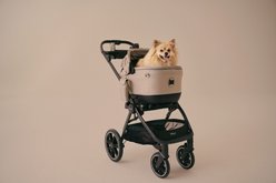 Tavo Pets Maeve iso5X Wind Dog & Cat Car Seat & Roscoe Trek Stroller, Tawny/Chocolate