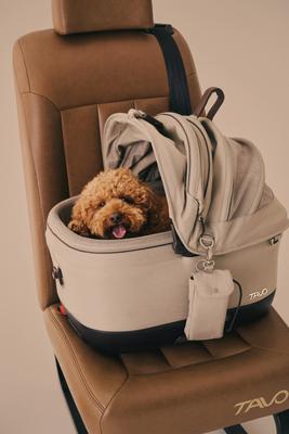Show full view: Tavo Pets Maeve iso5X Wind Dog & Cat Car Seat, Merle slide 2 of 10