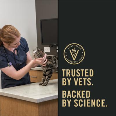 Show full view: Purina Pro Plan LiveClear Kitten Chicken & Rice Formula Dry Cat Food, 12.5-lb bag slide 9 of 13