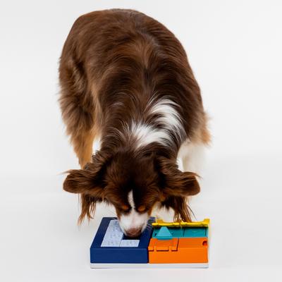 Show full view: Pawzler Smarty Set Puzzle Dog Toy slide 7 of 7
