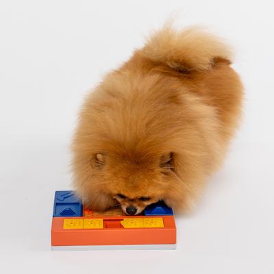 Show full view: Pawzler Beginner Set Puzzle Dog Toy slide 7 of 7