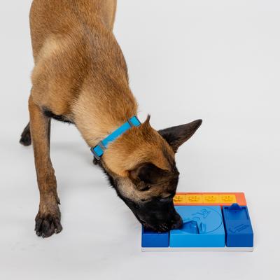 Show full view: Pawzler Beginner Set Puzzle Dog Toy slide 6 of 7