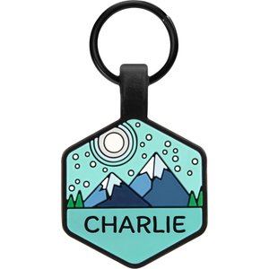 GoTags Silent Silicone Personalized Dog ID Tag