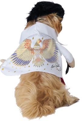 Show full view: California Costumes Elvis American Eagle Dog Costume, X-Small slide 3 of 4