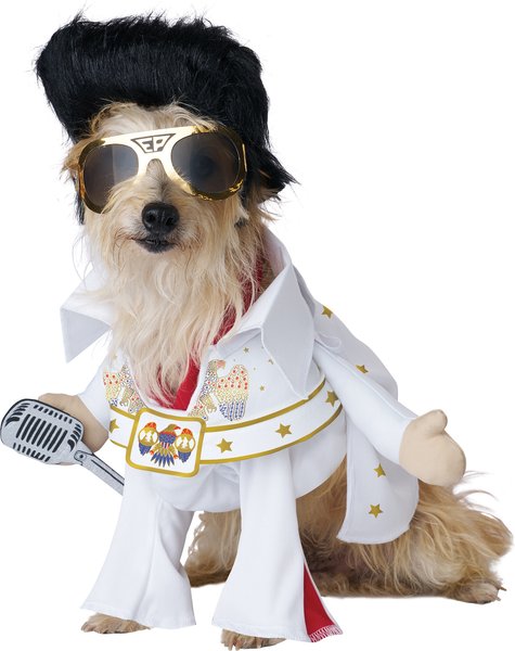 Show full view: California Costumes Elvis American Eagle Dog Costume, Small slide 1 of 2