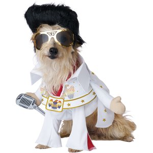 California Costumes Elvis American Eagle Dog Costume, Small