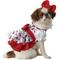 Show in main carousel: California Costumes Hello Kitty Classic Party Dress Dog Costume, Medium slide 1 of 1