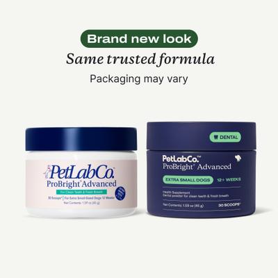 Show full view: PetLab Co. ProBright Advanced Chicken Flavored Powder Dental Supplement for Dogs, X-Small Dogs: 1.59-oz jar slide 3 of 11