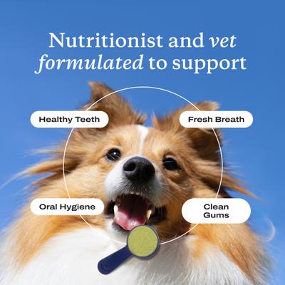 Show full view: PetLab Co. ProBright Dog Dental Powder for X-Small Dogs slide 6 of 11