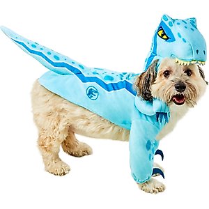 Frisco Stegosaurus Dinosaur Dog & Cat Costume