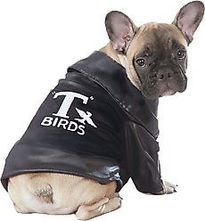 Rubie's Costume Company Grease T-Birds Jacket Dog & Cat Costume, Medium