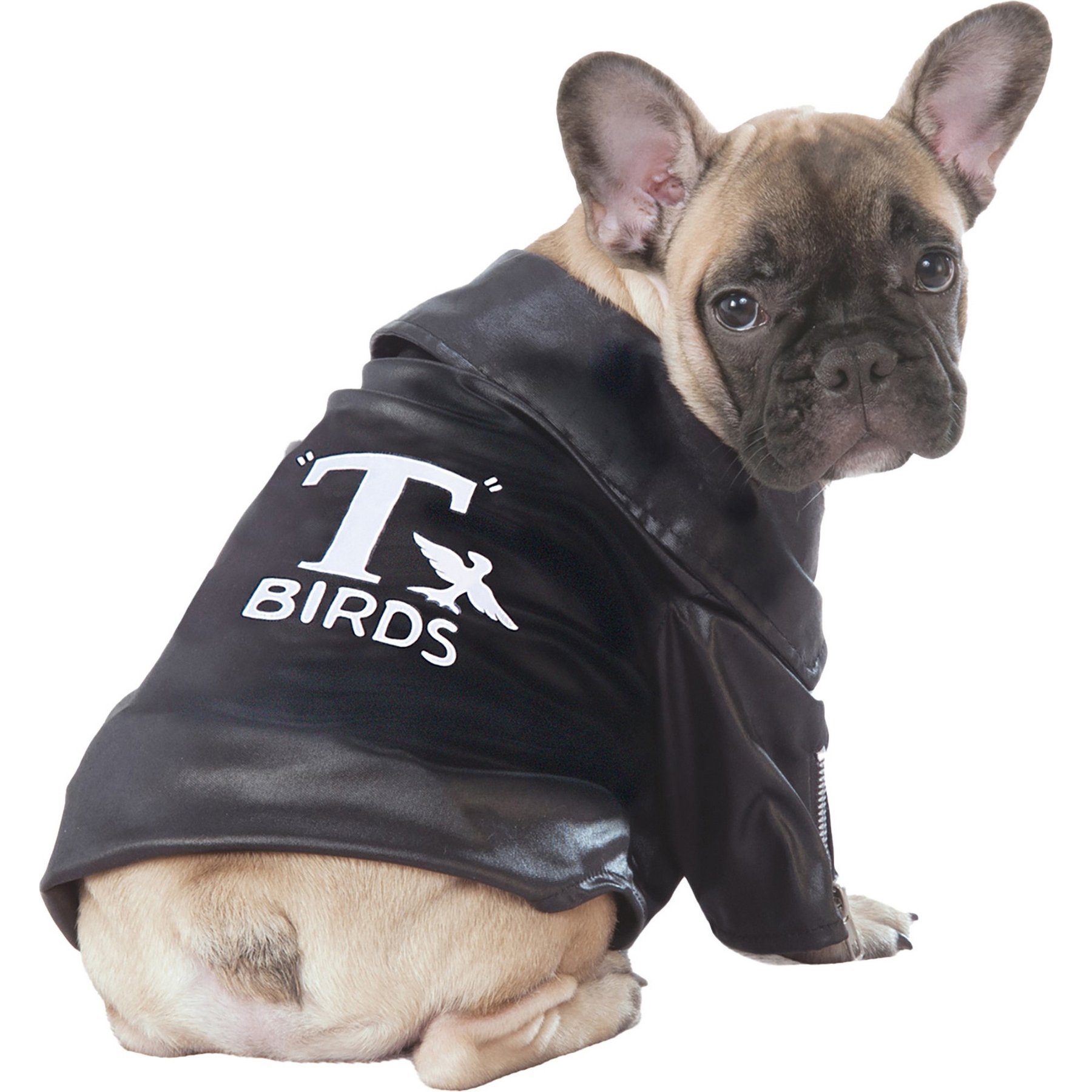 Rubie's Costume Company Grease T-Birds Jacket Dog & Cat Costume, Large