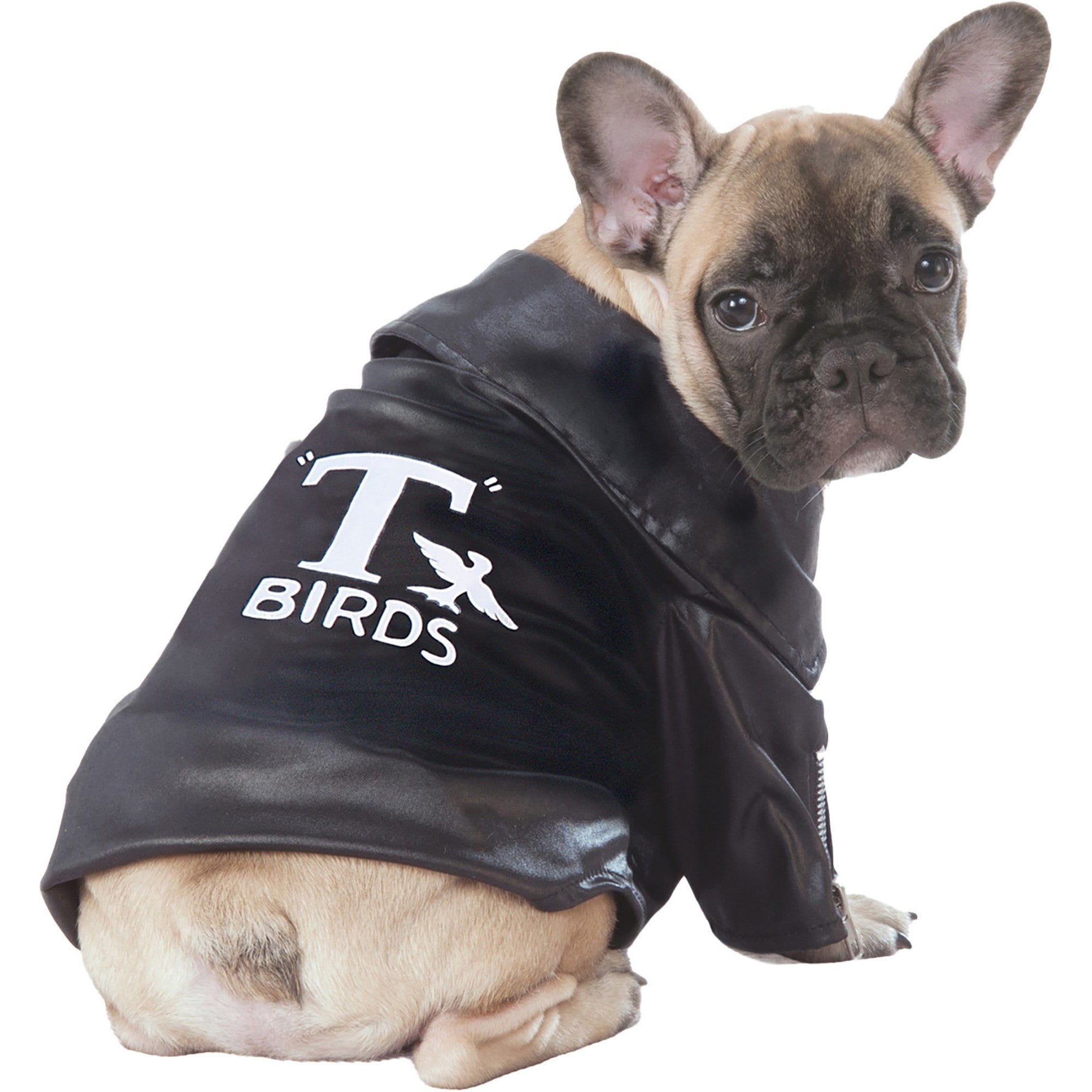 Grease T-birds Jacket Dog & Cat Costume, Small