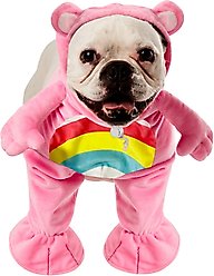 Rubie's Costume Company Care Bears Cheer Bear Dog & Cat Costume, X-Large