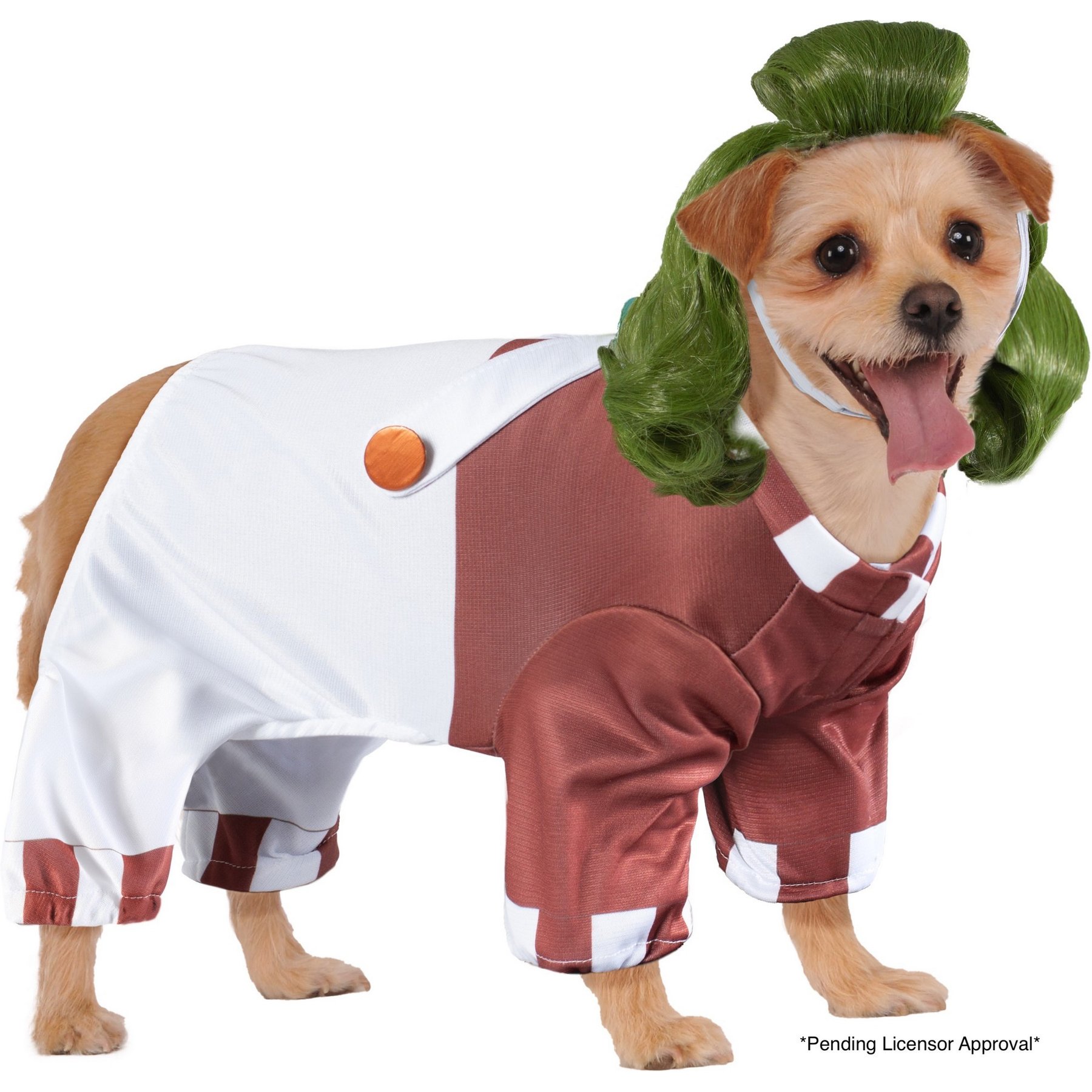 Rubie's Costume Company Willy Wonka Ooompa Loompa Dog & Cat Costume, Medium