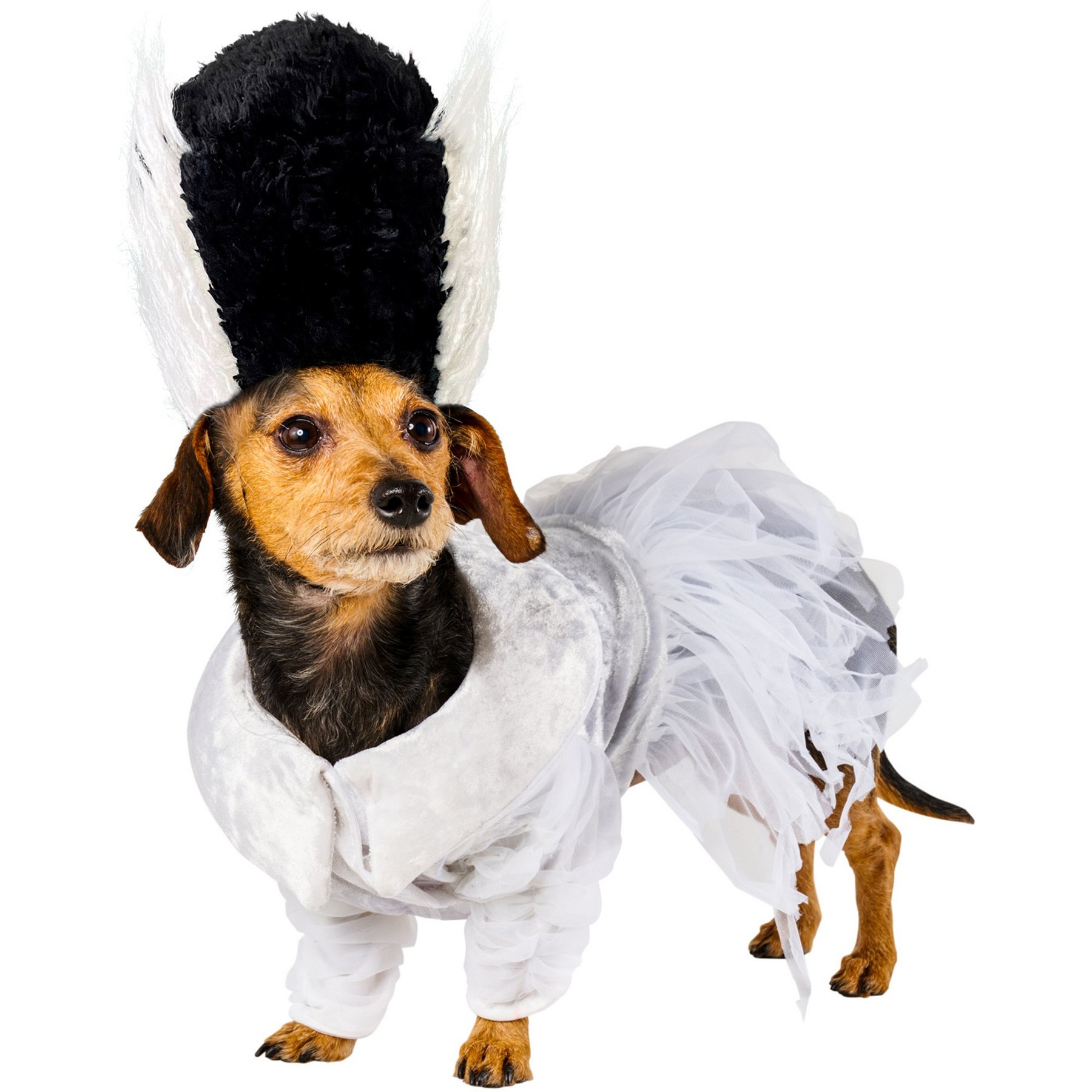 Rubie's Costume Company Bride of Frankenstein Dog & Cat Costume, Medium