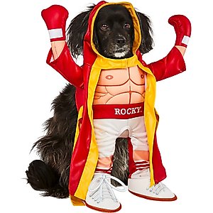 Rubie's Costume Company The Flintstones Dino Dog & Cat Costume