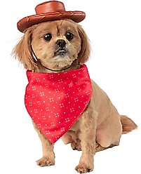 Rubie's Costume Company Toy Story Sheriff Woody Toy Bundle, Medium/Large slide 2 of 4