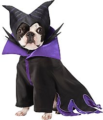 Rubie's Costume Company Disney Villains Maleficent Dog & Cat Costume, Medium