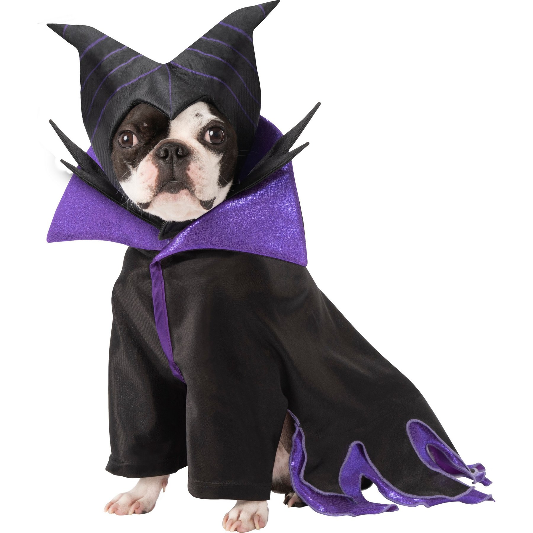 Rubie's Costume Company Disney Villains Maleficent Dog & Cat Costume, Large