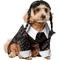 Show in main carousel: Rubie's Costume Company Wednesday Addams Dog & Cat Costume, Large slide 3 of 4