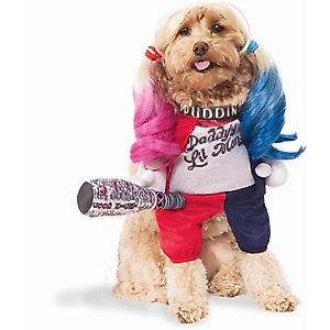 Rubie's Costume Company Suicide Squad Harley Quinn Dog & Cat Costume, Medium
