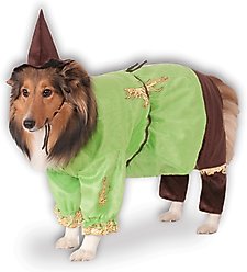Rubie's Costume Company Wizard of Oz Scarecrow Dog & Cat Costume, Large