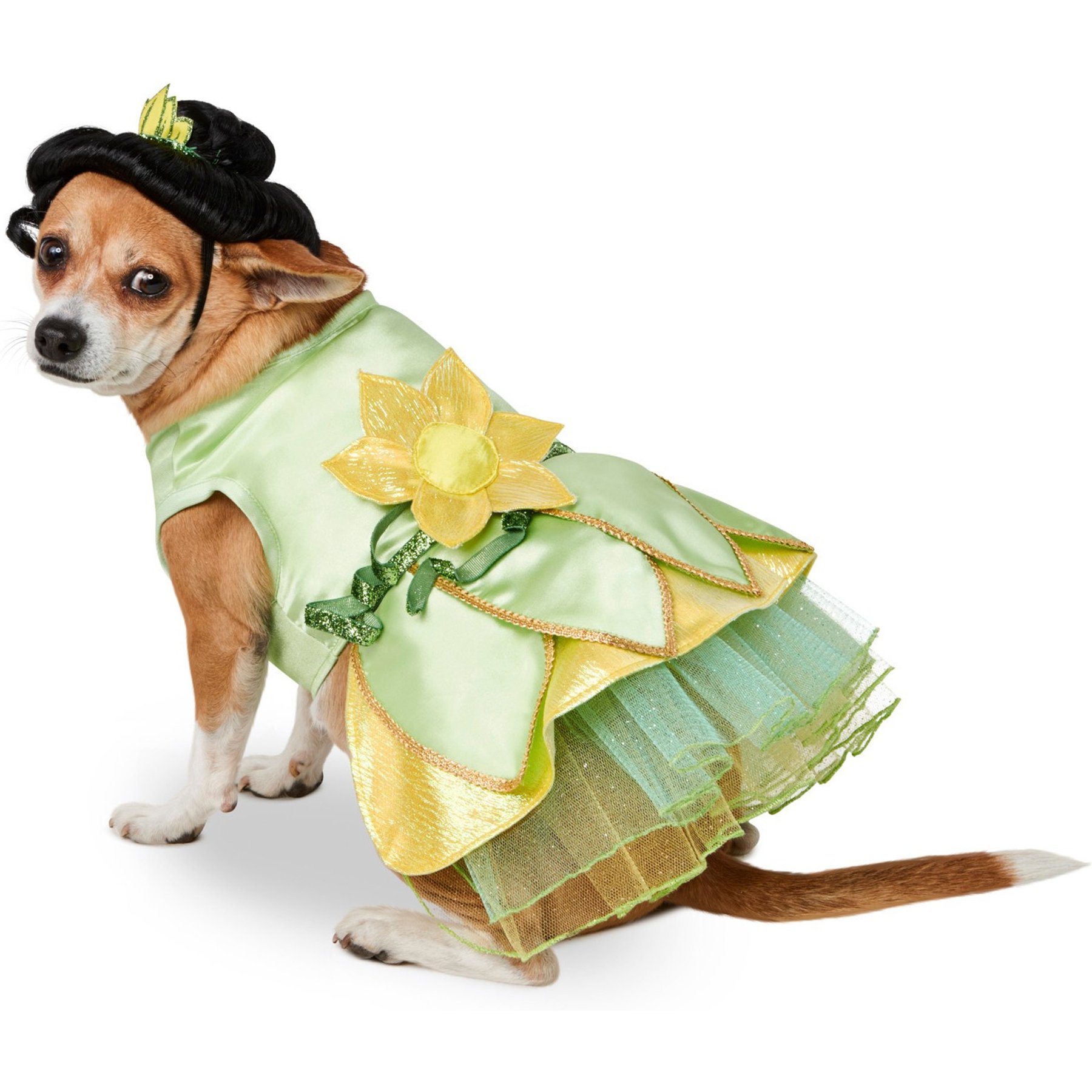 Rubie's Costume Company The Princess & the Frog Princess Tiana Dog & Cat Costume, Large