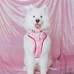 Sassy Woof Western Barbie Adjustable Dog Harness, Small: 16 t0 21-in chest slide 2 of 7