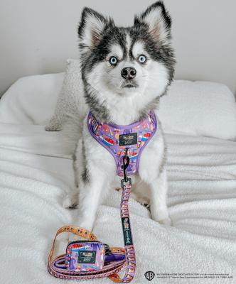 Show full view: Sassy Woof Willy Wonka & The Chocolate Factory Dog Waste Bag Holder slide 6 of 6