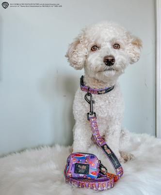 Show full view: Sassy Woof Willy Wonka & The Chocolate Factory Dog Waste Bag Holder slide 5 of 6